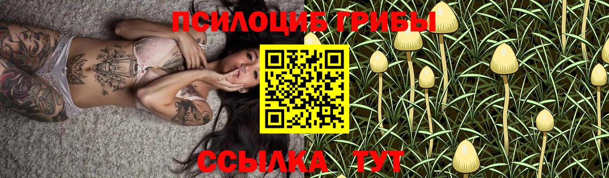 Галлюциногенные грибы ЛСД  Вход с VPN  Тутаев  Галлюциногенные грибы Psilocybine cubensis 