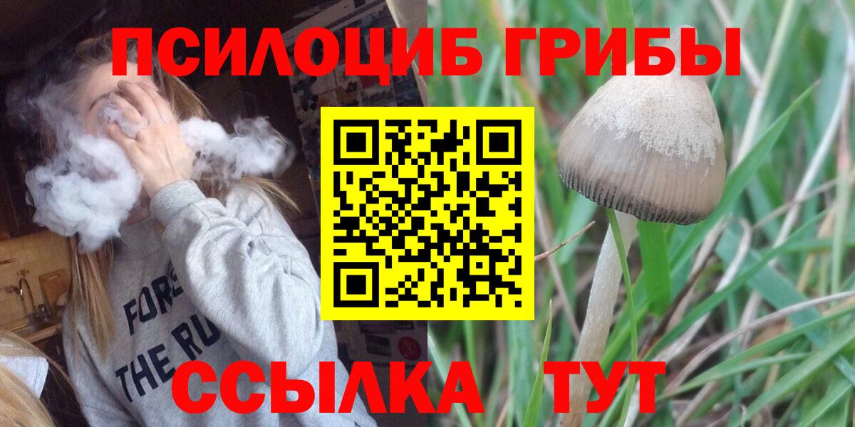 Псилоцибиновые грибы MAGIC MUSHROOMS Тутаев